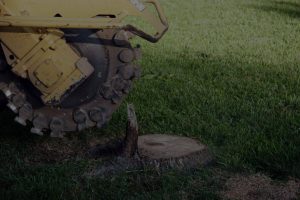 ants treeworks stump grinding hero